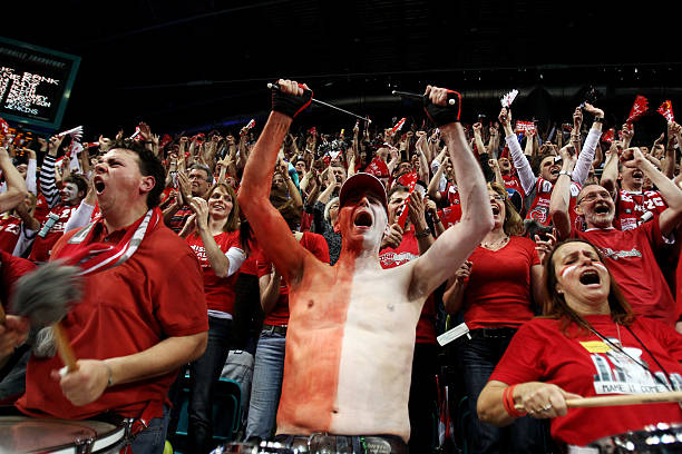 我还可以为 我还可以为